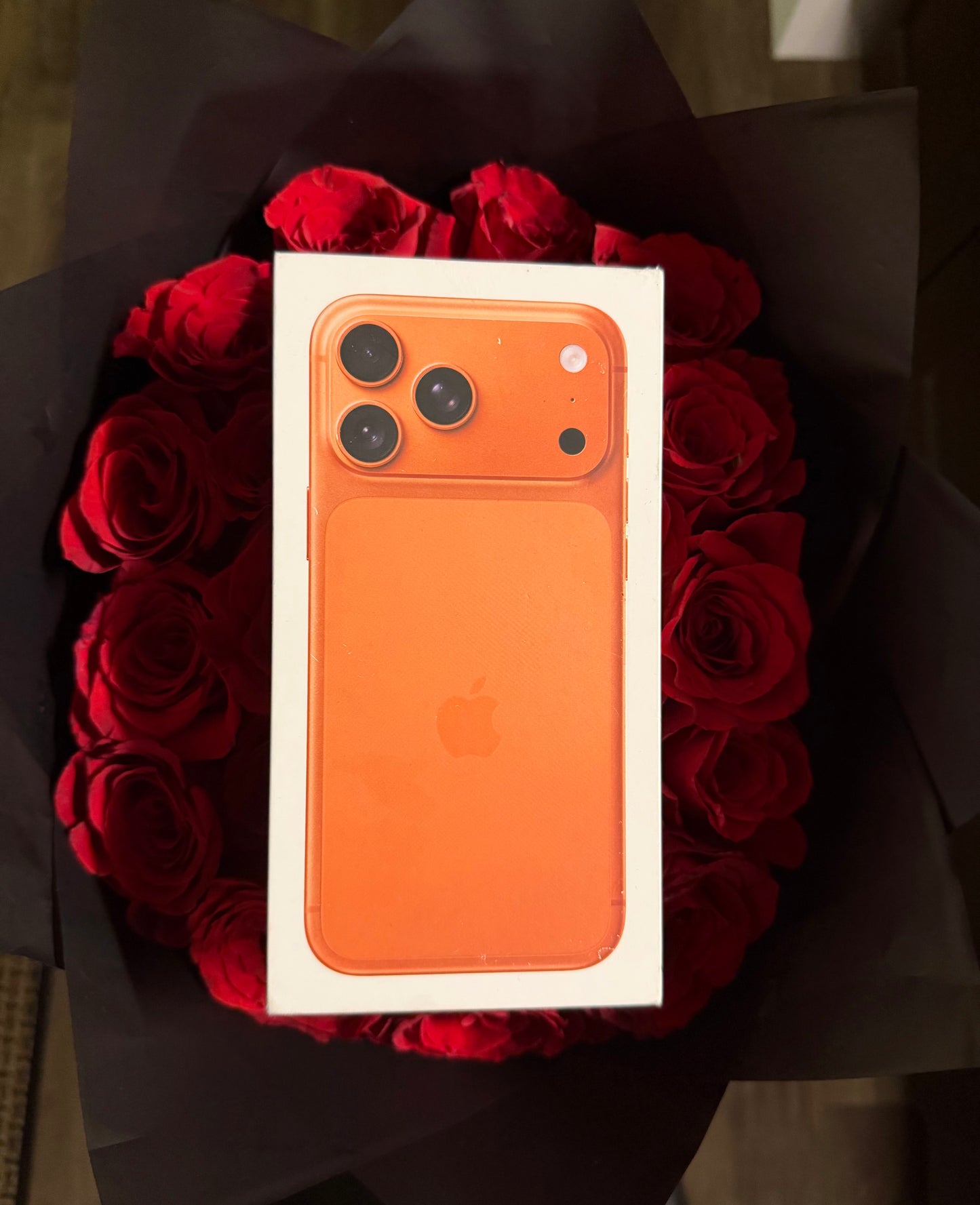 17 Pro Max Digital Download